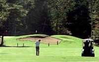Cronins Golf Course